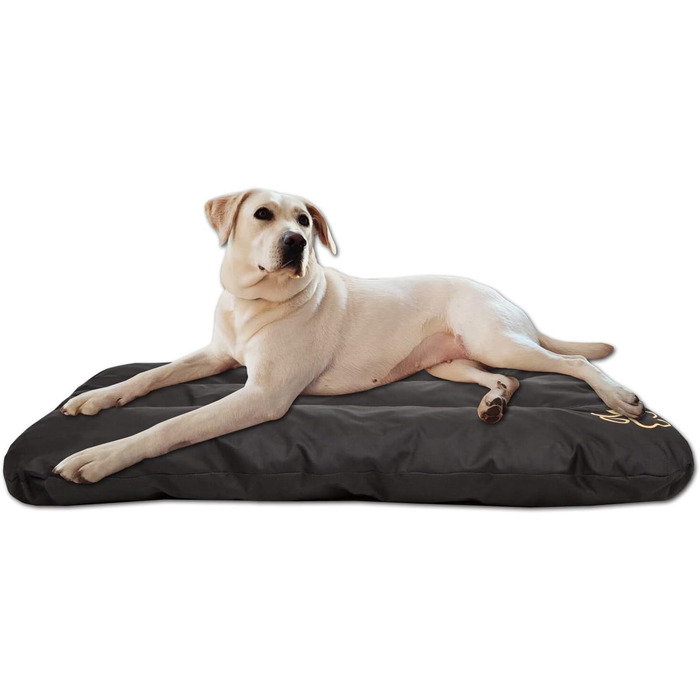 Матрац для собак, лежанка для собак великих, середніх та маленьких порід - вологостійкий килимок для собак, м'який лежак з піни, для вулиці та дому - 90x60x8 см (R2(100 x 70 см), чорний)