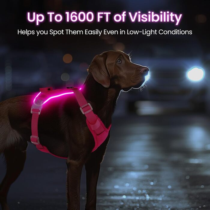 Світлодіодна шлейка для собак з підсвічуванням, світловідбиваюча, регульована, рожева, XL