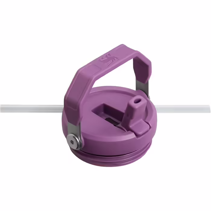 Stanley Flip Straw Tumbler 1.0 Water Bottle with Straw 0.89L - Thermos Bottle Keeps 12+ Hours Cold - Dishwasher Safe - Sports Bottle - Water Bottle BPA Free - (Lilac)