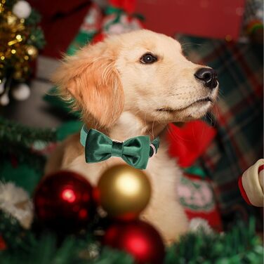 Елегантний ошийник для собак Aring з бантиком, темно-зелений, регульований, з м'якого велюру, подарунок для дівчаток та хлопчиків