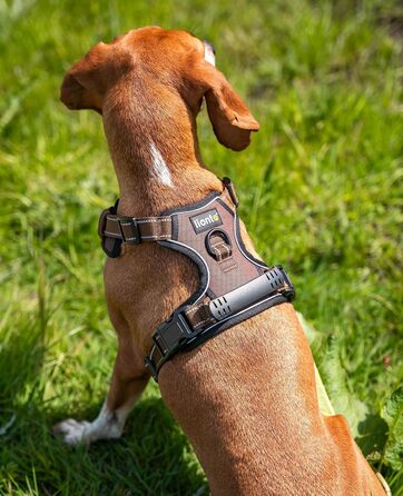 Нашийник для собак Lionto з м'якого нейлону, анти-тяга, з 2 кільцями та 4 регульованими ремінцями, 2 застібки-кліпси, гумовий ручка, розмір M, коричневий