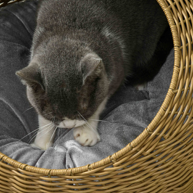 PawHut Rattan Cat Basket Cat House with Cushion for Cats up to 4 kg, Indoor Cat Cave made of PE Rattan, Ø50 x 31 cm, light brown for cozy retreats