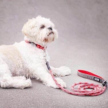 Нашийник для собак DOG Copenhagen Urban Style Classic Red, розмір L (Червоний)