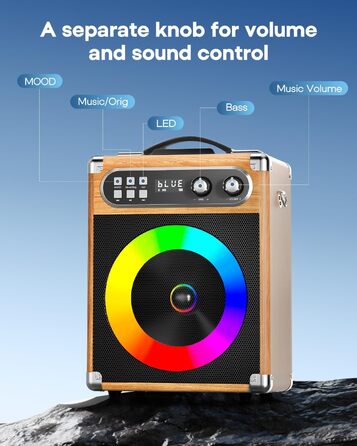 Портативна караоке-система з 2 бездротовими мікрофонами та акумуляторами, 20W, дерев'яний корпус