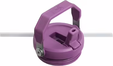 Stanley Flip Straw Tumbler 1.0 Water Bottle with Straw 0.89L - Thermos Bottle Keeps 12+ Hours Cold - Dishwasher Safe - Sports Bottle - Water Bottle BPA Free - (Lilac)