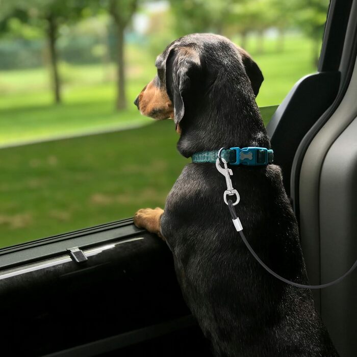Автомобільний ремінь безпеки для собак Mogoko Kaufester: не гризеться, з нержавіючої сталі, з подвійним кріпленням та фіксатором (40,6 см, 16 дюймів)