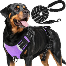 колір: стиль 2 ліла