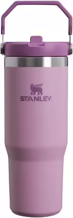 Stanley Flip Straw Tumbler 1.0 Water Bottle with Straw 0.89L - Thermos Bottle Keeps 12+ Hours Cold - Dishwasher Safe - Sports Bottle - Water Bottle BPA Free - (Lilac)