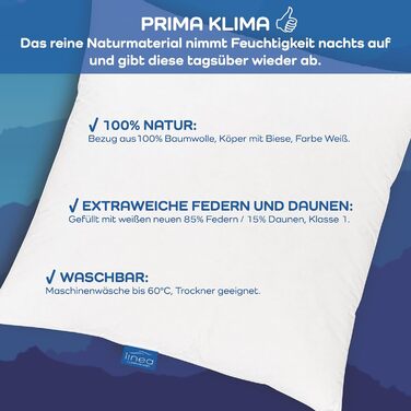 Подушка LINEA by böhmerwald, 40x80 см, 85% пухові пера, 15% новий пух, гіпоалергенна, для алергіків, вироблено в Німеччині, преміум якість, придатна для прання до 60°C