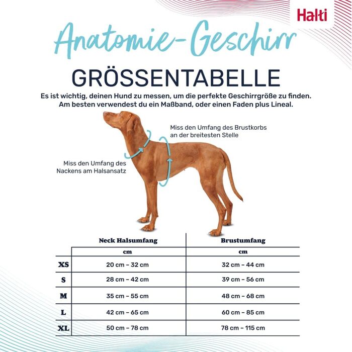 HALTI Anatomy Dog Harness with Handle – Freedom of Movement for Your Dog. 3 Leash Attachment Points, Neoprene Padding, Adjustable and Reflective (Size L, Blue-Green)