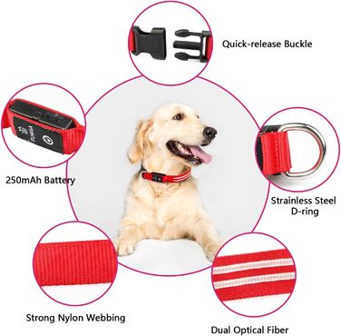 Світлодіодна нашийникова стрічка для собак PCoTllar, заряджається, 3 режими світіння, водонепроникна, для малих, середніх та великих собак, зелена, (TC5000), розмір S (28-40 см)