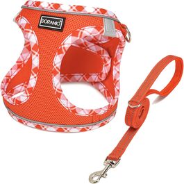 колір: мандарини