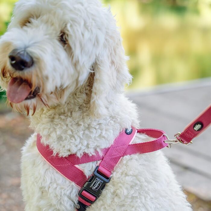 Набір мисок для собак Nobby Norwegergeschirr Classic Preno, оранжевий/сірий, L (68-85 см + 54 см), 40/45 мм, 1 шт.