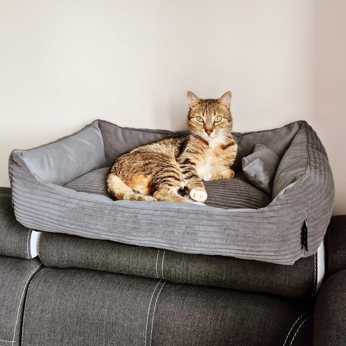 4L Textil М'яке ліжко-гніздечко для котів та собак, гніздо-лежанка, кошик для котів, лежанка для собак, для цуценят, сірий (60x40 см), 60 x 40 x 15 см