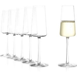 Набір келихів для шампанського Stölzle Lausitz Champagner Gläser Power 6 шт. 240 мл – елегантні келихи для шампанського, сект та просекко, високоякісне німецьке скло, придатні для миття в посудомийній машині та ударостійкі