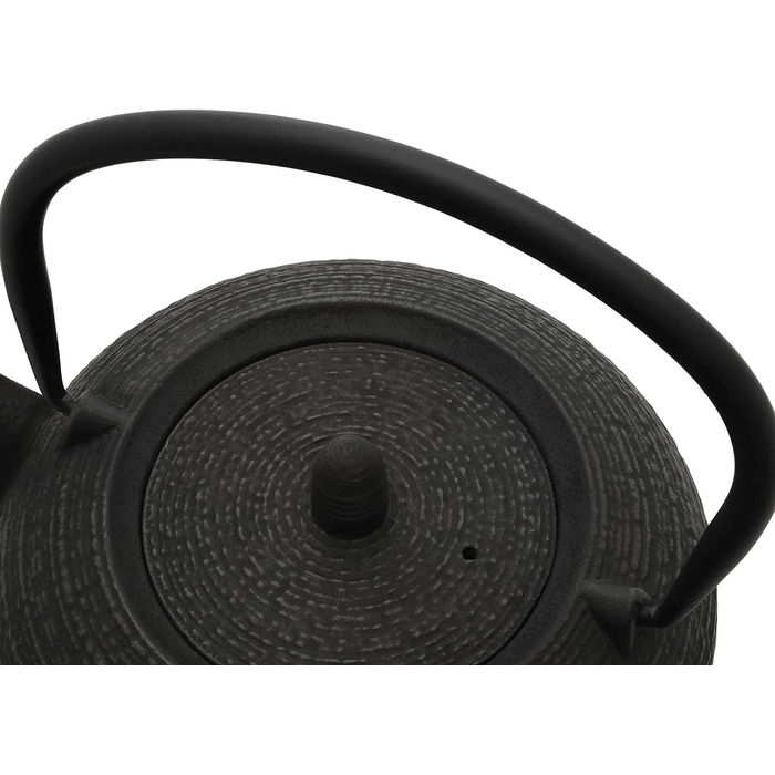 Bredemeijer Blue Flat Asia Teapot 1.1 Liter Cast Iron - Asia Cast Pot with Stainless Steel Tea Filter (200x160x115, Black)
