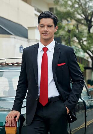 Чоловічий краватковий та нагрудний комплект HISDERN: однотонні краватки та нагрудні хустинки для вечірок та весіль, різні кольори