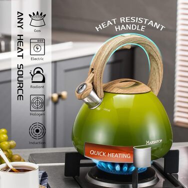 Чайник заварний зі нержавіючої сталі Teekessel Pfeifende для плити та індукції, 2.5 л (світло-зелений)