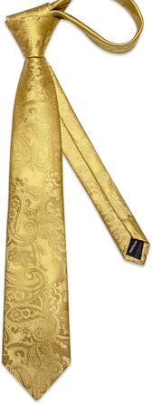 Набір краваток для чоловіків: краватка, кишеньковий хустинка, краваткова затискач, затискач для краватки, набір 5 шт. (золотий)