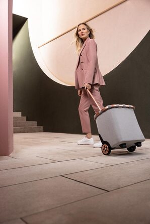 Тролей Reisenthel Carrycruiser Sky Rose: портативний, з міцним алюмінієвим каркасом та зручним плечовим ременем