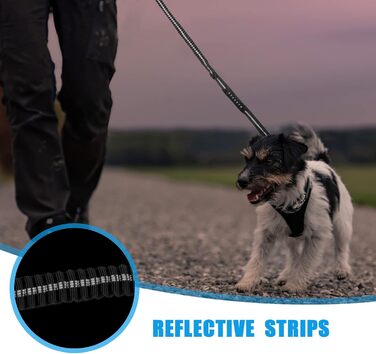 Міцна тактична повід для собак Raiput Bungee, 1.2-1.8 м, без ривка, з карабіном, світловідбиваючий, амортизуючий, з авторемнем безпеки (Чорний, 4-6 FT Bungee)