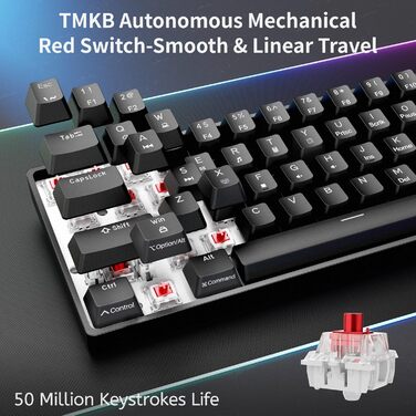 Dierya DK61se - Механічна ігрова клавіатура 60% з Blue Clicky Switch, Anti-Ghosting, USB-C, US Layout, білий корпус