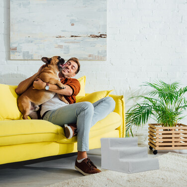 Relaxdays Собачі сходи 3 сходинки