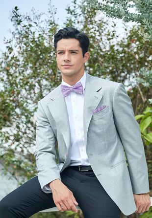 Метелик HISDERN для чоловіків, однотонний, регульований, для вечірки/весілля (фіолетовий)