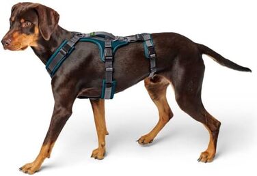 Нашийник для собак Maldon, колір petrol/сірий, розмір L