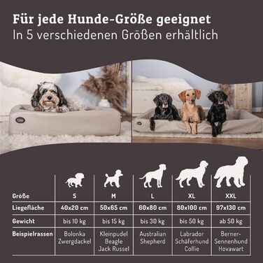 ABRO Кушетка для собак ортопедична – Мартін Рюттер – З високоякісної штучної шкіри – Стійка до подряпин та вологи – Ергономічна – Преміум аксесуар для собак маленьких порід (L, Чорний)