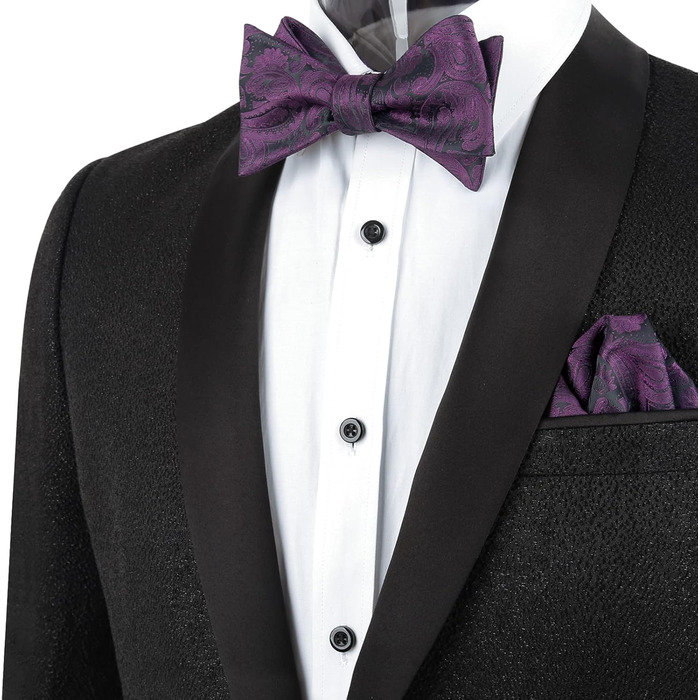 Комплект краватка-хустинка Alizeal Paisley (Aubergine) для чоловіків