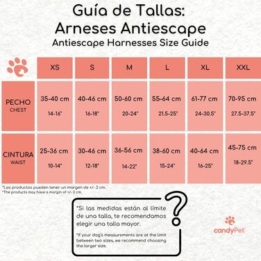 Поясний нашийник для собак, проти витягування, для італійських грейхаундів, віппетів, грейхаундів, подонко - безпечний, дихаючий та довговічний, ідеальний для походів, тренувань та бігу, антрацитовий колір, розмір M