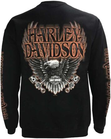 Худі Harley-Davidson для чоловіків, чорний, 4XL (1 шт.)