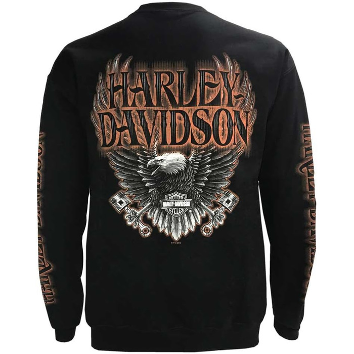 Худі Harley-Davidson для чоловіків, чорний, 4XL (1 шт.)
