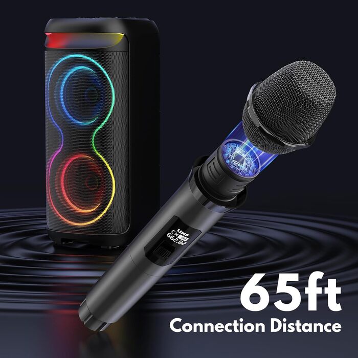 Караоке машина HWWR T20 з 2 мікрофонами, Bluetooth, RGB-підсвічуванням, TF/USB, AUX, Rec. Партійна колонка для дому та вечірок. Підтримка TWS.