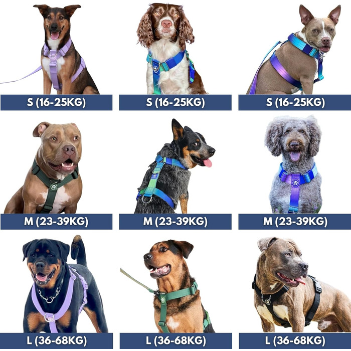 Шлейка для собак Spark Paws No Pull для великих порід, з переднім кріпленням, Y-подібна, міцна та надійна, Lime Wave, L (36-68 кг)