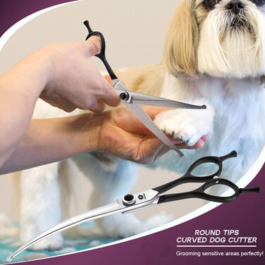 Ножиці для собак Dream Reach 6,5 дюйма, професійні, з нержавіючої сталі 440C, вигнуті, у подарунковій коробці