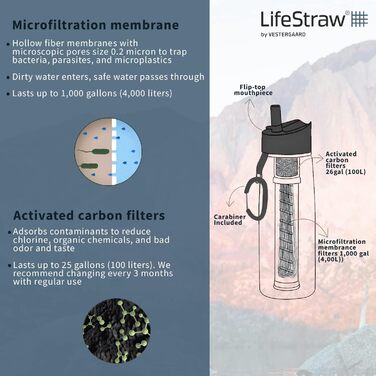 LifeStraw Go 650ml (650 ml, Clear)