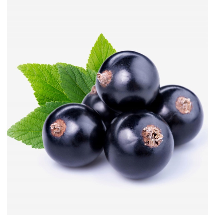 Жіноча парфумована вода Yodeyma Celebrity, 100 мл