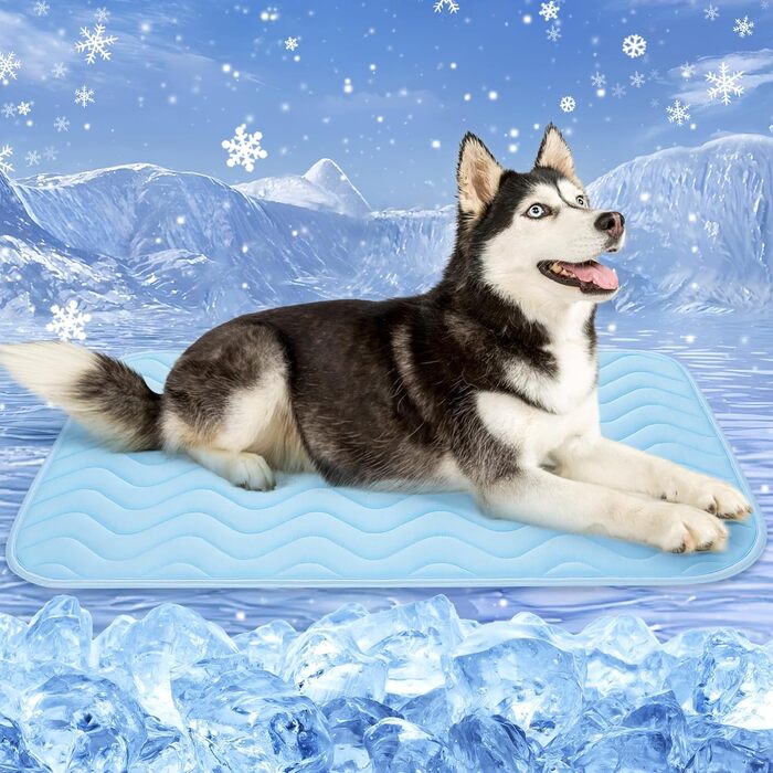 Килимок для собак середніх порід Baodan, 90x60 см, миється, з антиковзною основою, блакитний, 150x100x2 см