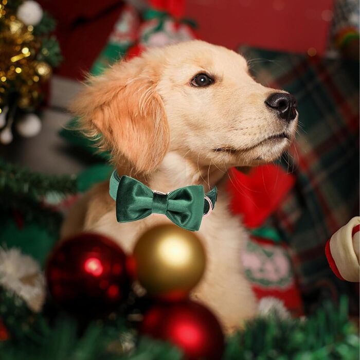 Елегантний ошийник для собак Aring з бантиком, темно-зелений, регульований, з м'якого велюру, подарунок для дівчаток та хлопчиків