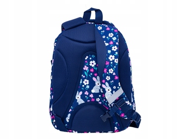 Багатовідсіковий шкільний рюкзак AstraBag 