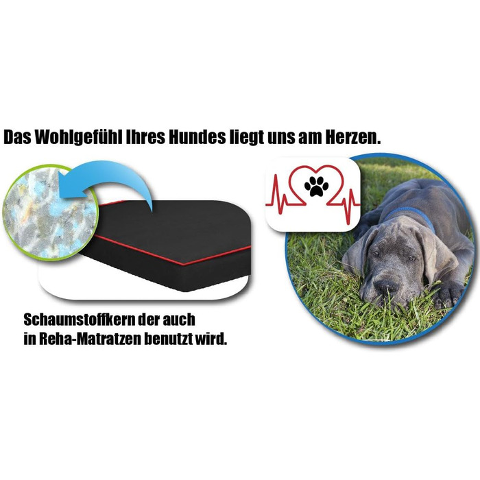 FORTISLINE Dog Mat Dog Bed OAHU Plus 2 Sizes 4 Colors (XL - 120x80x8cm, Grey)