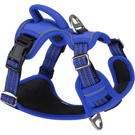 колір: блакитний