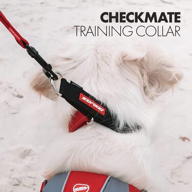 Нашийник для собак EzyDog Checkmate – нашийник-стоп для дресирування. Регульований нашийник для великих, середніх та маленьких собак (S, Чорний)