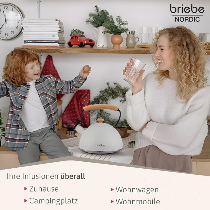 Чайник Nordic від briebe: індукційний, 2.3L, з нержавіючої сталі, ретро-дизайн, для всіх типів плит (газ, електро, склокераміка, індукція), з дерев'яною ручкою, для чаю та кави (білий)