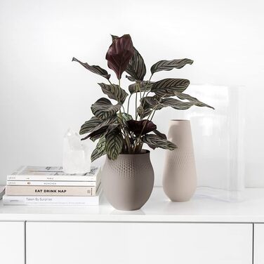 Ваза Villeroy & Boch Collier Noir No. 2, 16 x 116 x 20 см, преміум-порцелан (перламутровий, тауп, L)