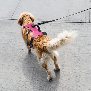Світловідбиваючий нашийник для собак Jewyow з LED, перезаряджуваний, м'який, регульований, водонепроникний, для середніх та великих собак, зелений (рожевий, M)
