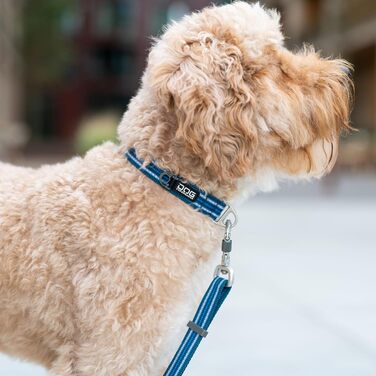 Нашийник для собак DOG Copenhagen Urban Style Classic Red (L, Lemon) – Версія 2020