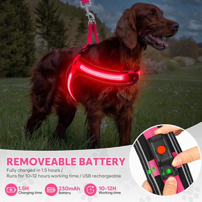 Світловідбиваючий жилет для собак BiPawTi середнього розміру, перезаряджається, жилет для собак зі світлодіодами, 3 режими світіння - світиться в темряві, шлейка для собак, для прогулянок, зелене світло (рожеве/червоне), XL